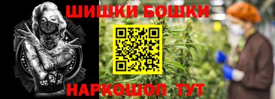 СК Пушкино